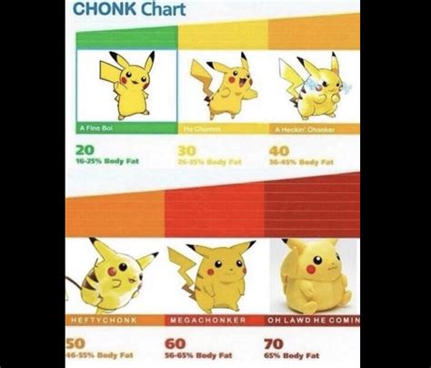 CHONK Chart : r/memes