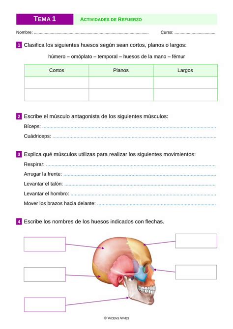 PDF 1 Clasifica los siguientes huesos según sean cortos El