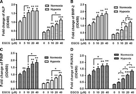 Levels Of Osteogenic Differention Associated Markers In The