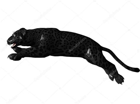 Jumping black panther — Stock Photo © Wampa76 #1093747