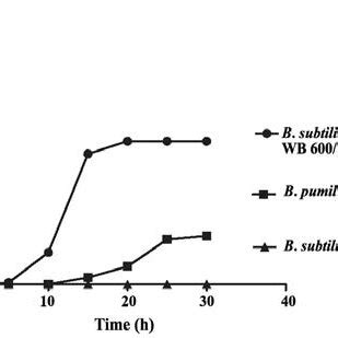 Comparison Of Alkaline Protease Production Activity In Culture