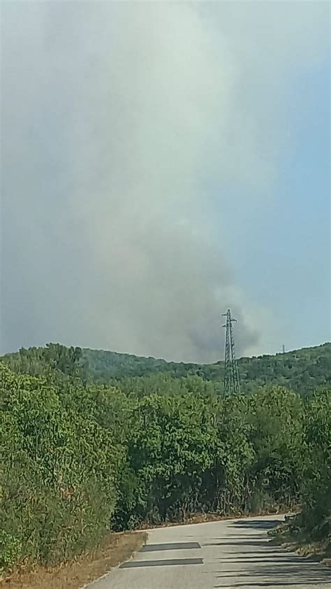 Incendio Sul Carso Diversi I Focolai Evacuata La Barriera Del Lisert