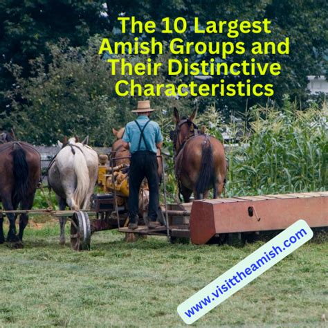 The Top 10 Amish Groups: Their Culture, Beliefs, and Practices - Visit ...