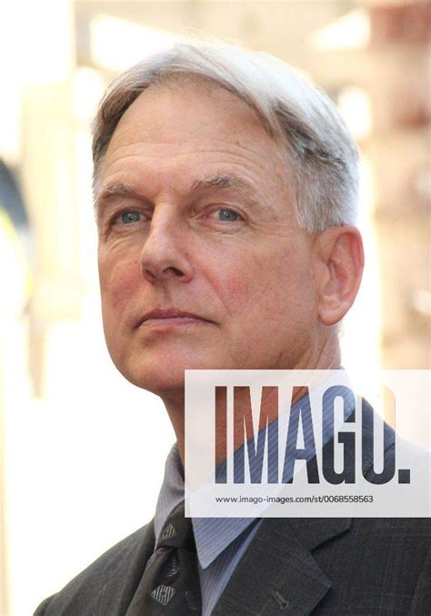 Oct Los Angeles California U S Mark Harmon Honored With