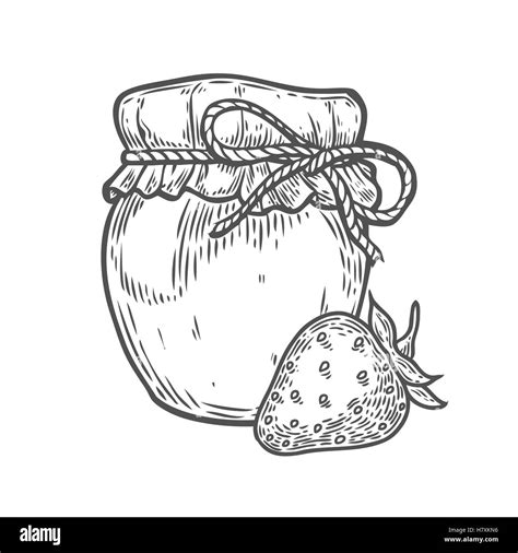 Strawberry Jam Jar Ink Hand Drawn Vector Illustration Harvest Autumn