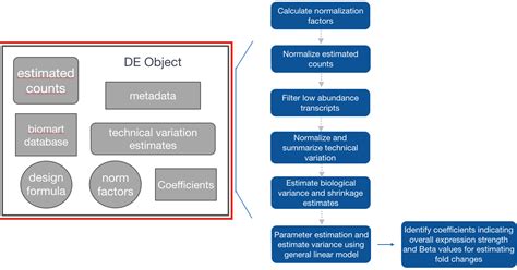 Differential Expression Of Transcripts Using Sleuth Introduction To