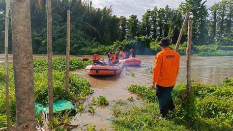 Nelayan Tahun Di Luwu Diduga Dimangsa Buaya Saat Ditemukan Jasadnya