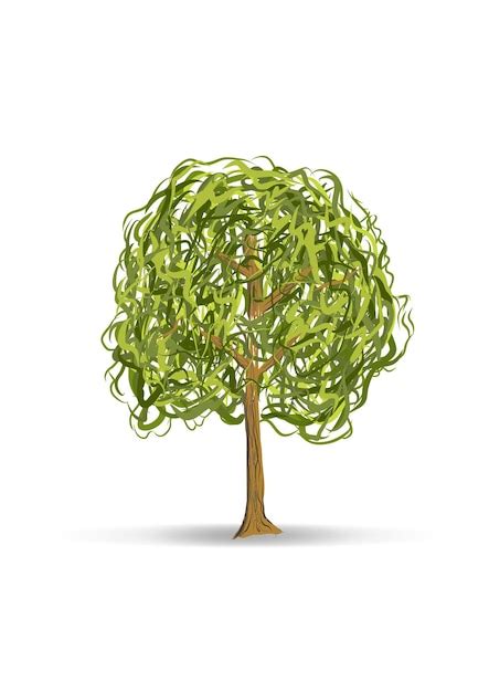 Árbol frondoso verde Vector Premium