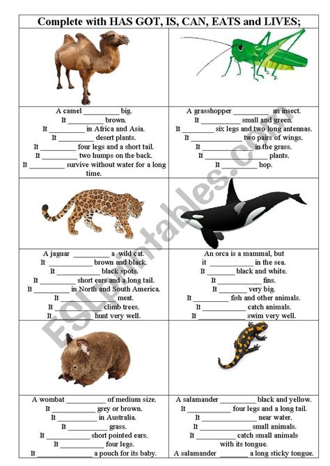 Describing Animals Esl Worksheet By Minka