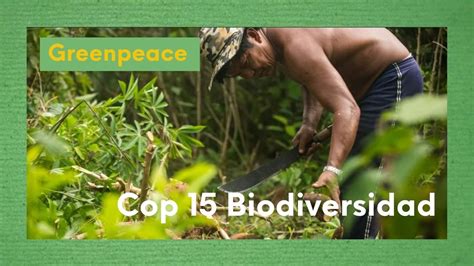 Claves De La Cop Xito En Biodiversidad