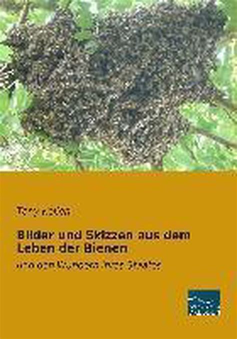 Bilder Und Skizzen Aus Dem Leben Der Bienen Tony Kellen