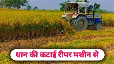 Dhan Ki Katai Swaraj Tractor Reaper Machine