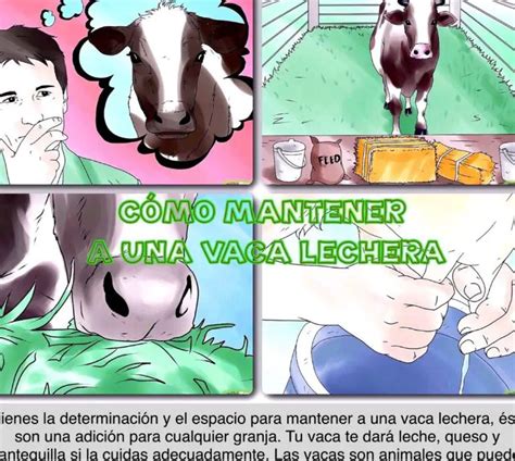 Consejos Para Aumentar La Producci N De Leche En Tus Vacas