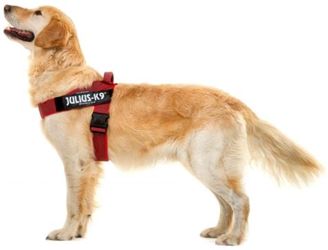 купить Шлейка Julius-K9 belt harness