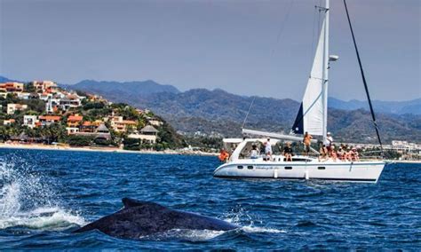 Whale Watching Season in Puerto Vallarta Begins December 8, 2014