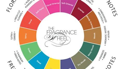 Fragrance Families | www.theperfumeexpert.com