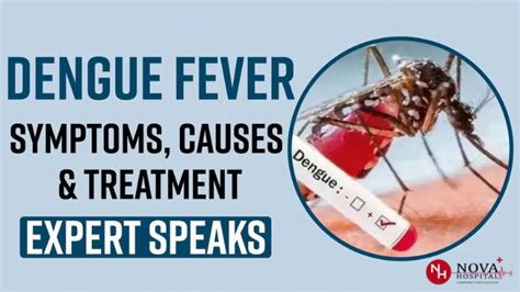 Dengue Fever Symptoms Causes Diagnosis And Treatment Off