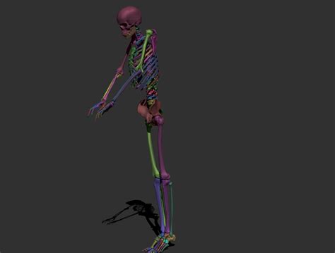 ArtStation - Human Skeleton | Resources