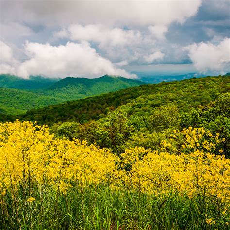 Shenandoah National Park | Wildlife and Wild Lands