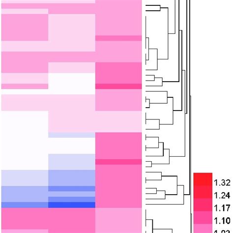 The Heatmap Shows Differentially Expressed Genes In BV 2 Cells Treated