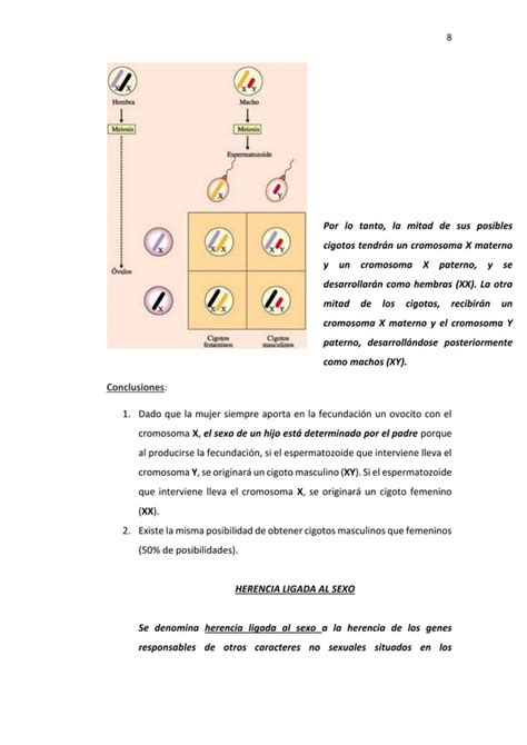 Gen Tica Cariotipo Herencia De Sexo Y Herencia Ligada Al Sexo