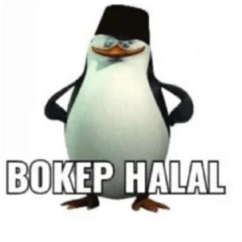 Pinguin Bokep