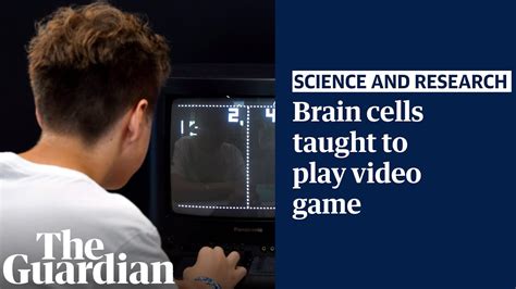 Researchers Teach Brain Cells In A Dish To Play Pong Youtube