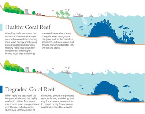 Reefs Reduce Percent Of Wave Energy Could Be Better Than Artificial