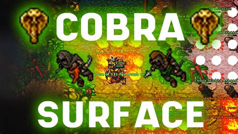 TIBIA RP 300 HUNT COBRAS SURFACE 4 3KK H 150 YouTube