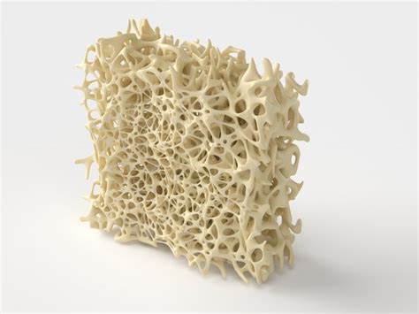 Bone structure anatomy model - TurboSquid 1716153