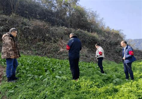 开阳县冯三镇：踏查不掉队 紧盯源头保净土种植毒品植物