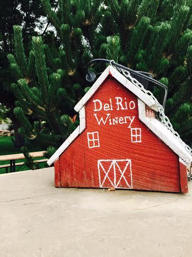 Del Rio Winery & Vineyards! #WineWednesday - ALONG COMES MARY