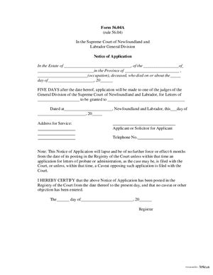 Form 56 04A Notice Of Application Newfoundland And Labrador