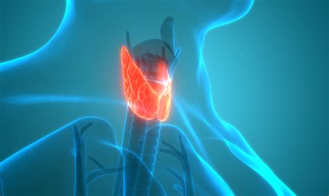 Thyroid Nodules An Update On Investigations And Management Singhealth