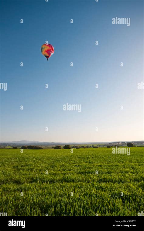 A Multi Coloured Hot Air Balloon Rising Above A Spring Wheat Field