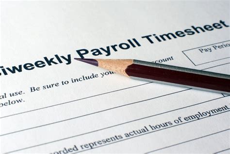 Do It Yourself Payroll Software Darelosecurity