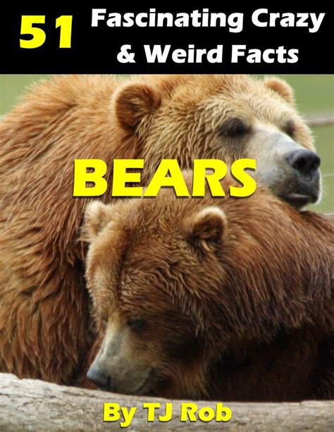 Bears Are Huge And Amazing Heres A Whole Lot Of Facts About Bears