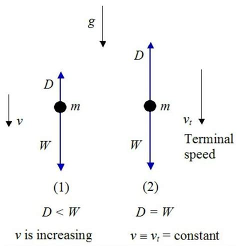 Understanding Free Body Diagrams For Objects In Constant Velocity