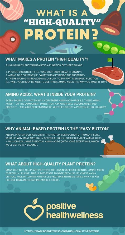 What Is A High Quality Protein Positive Health Wellness