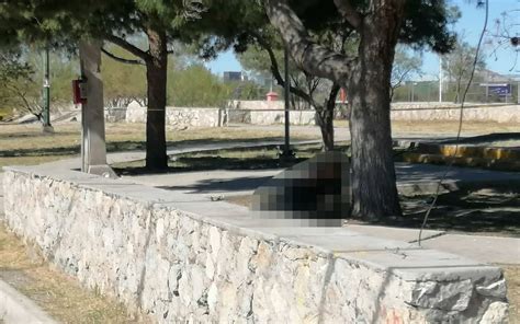 Hallan un cuerpo suspendido en un árbol en parque de Ciudad Juárez El