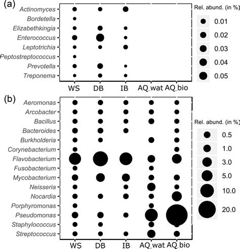 Relative numbers of potentially pathogenic bacterial genera along the ... 