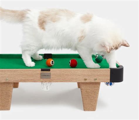 A Pool Table Toy for Cats: Playing 8 Ball with 9 Lives | Flipboard