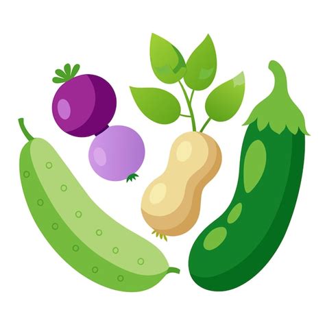 Cucumber Daikon Radish Edamame Eggplant Vegetables Clipart Vector Art