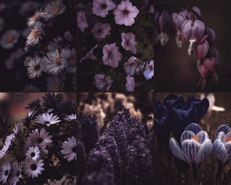 Dark Floral Lightroom Mobile Desktop Presets Dark Moody Etsy