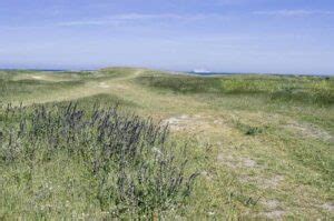 Une journée sur lîle de Batz les voyages de mat