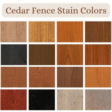 Cedar Fence Stain • Fence Makeovers 2025