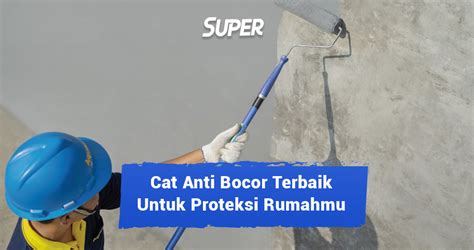 12 Rekomendasi Cat Anti Bocor Terbaik Untuk Proteksi Rumahmu