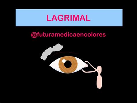 Anatom A Patol Gica Lacrimal Futuramedica Encolores Udocz