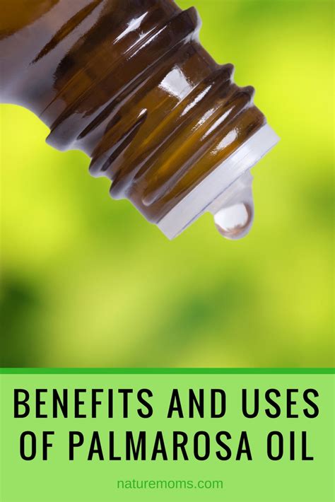 Benefits And Uses Of Palmarosa Oil