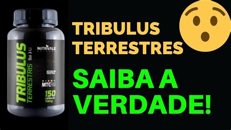 Tribulus Terrestris Bula Tribulus Terrestris Como Tomar e Benefícios